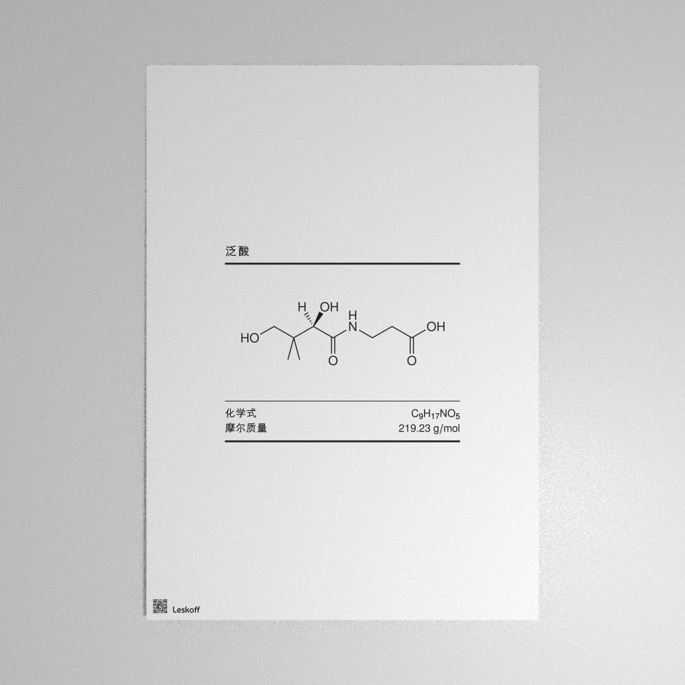 Leskoff Pantothenic Acid Molecule Poster image 1 of 1